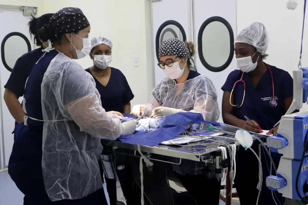 Atendimento na clínica veterinária da Universidade Iguaçu