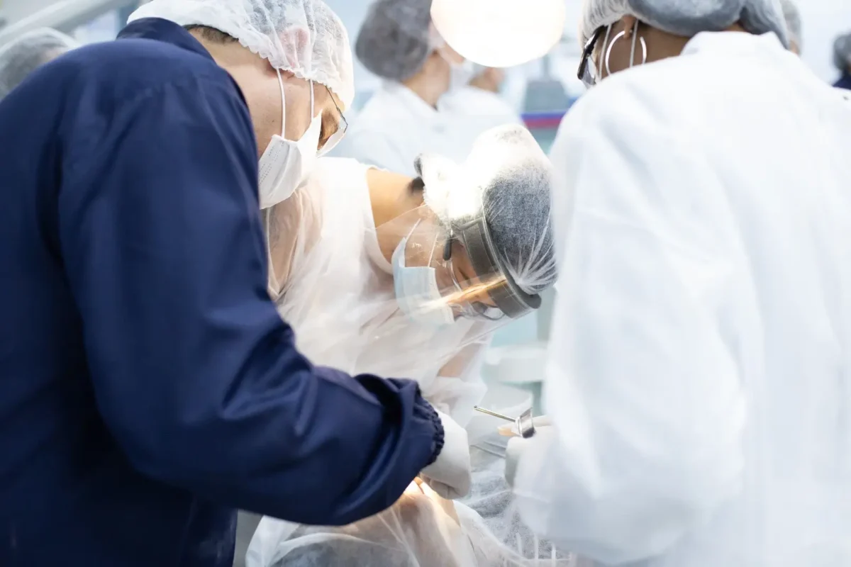 Faculdade de Medicina Veterinária, Faculdade de Odontologia, Faculdade de Enfermagem